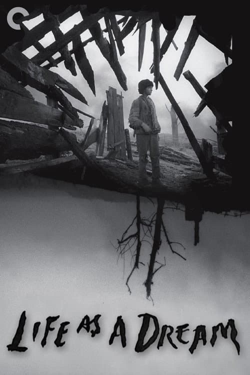 Life as a Dream (2007) poster