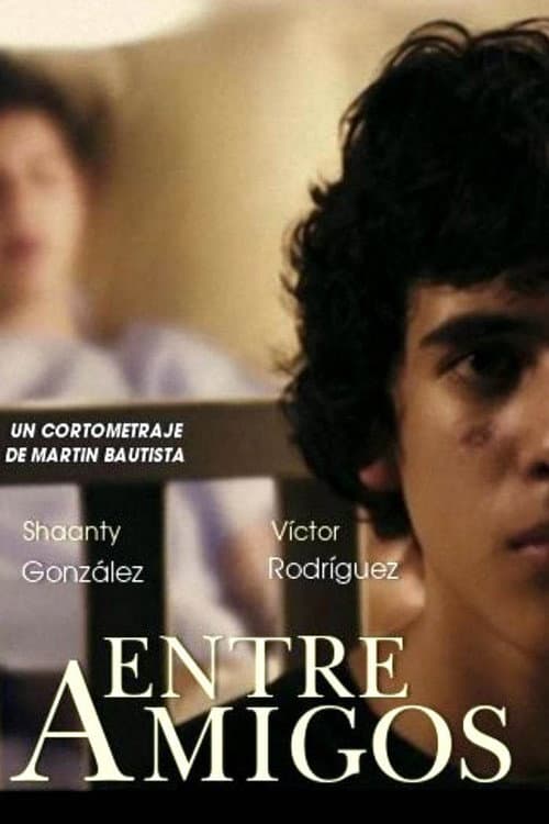 Entre amigos (2010) poster