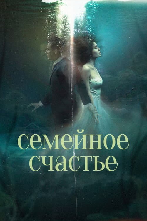 Семейное счастье (2025) poster