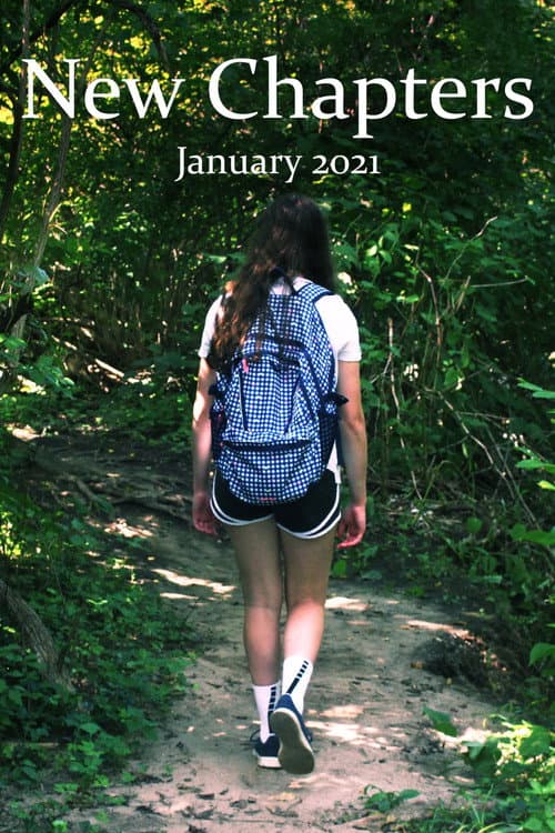 New Chapters (2021) poster