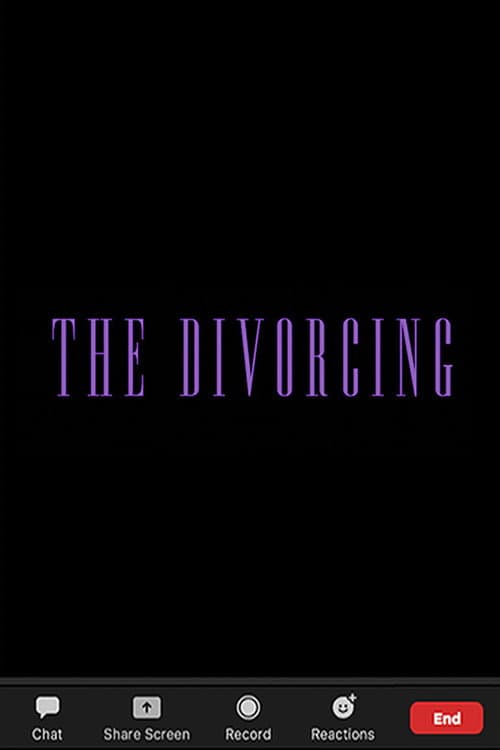 The Divorcing (2020) poster