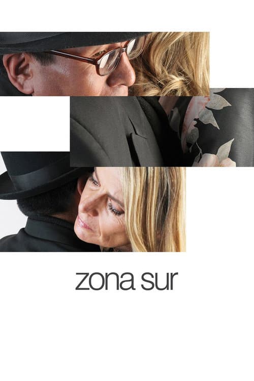 Zona Sur (2009) poster