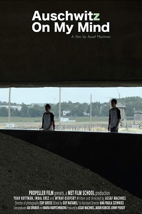 Auschwitz on My Mind (2013) poster