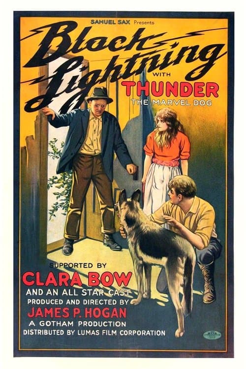 Black Lightning (1924) poster
