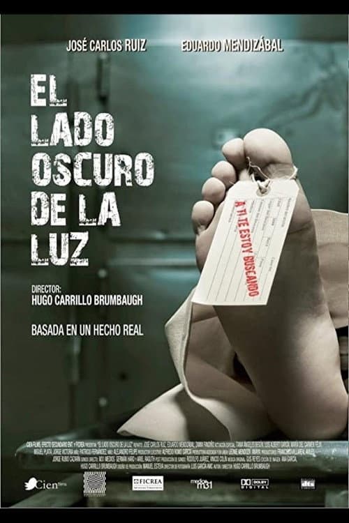 El lado oscuro de la luz (2013) poster