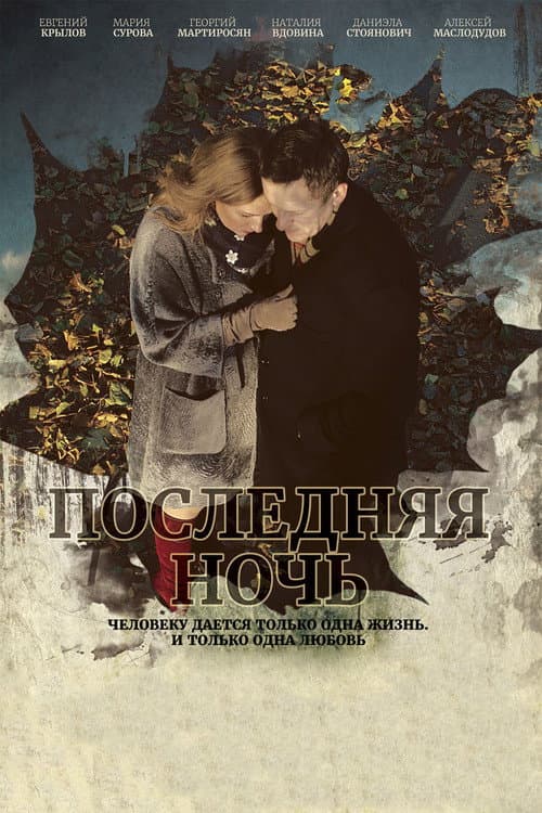 Последняя ночь (2015) poster