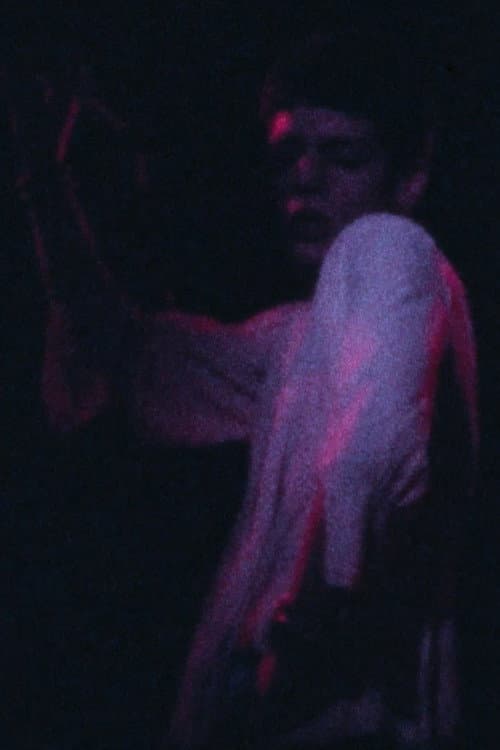 Brakaman (1973) poster