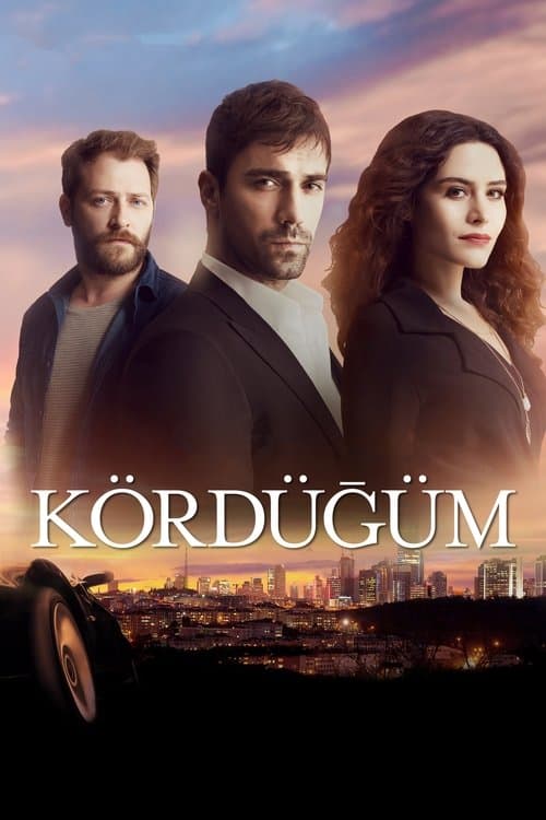 Kördüğüm (2016) poster