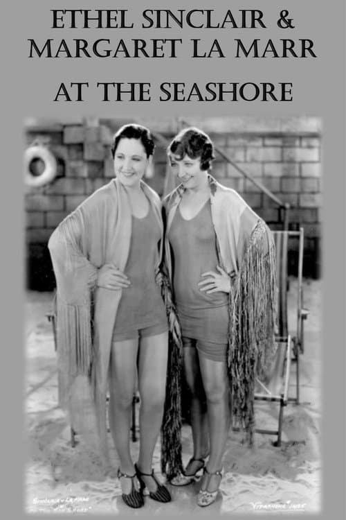 At the Seashore (1929) poster