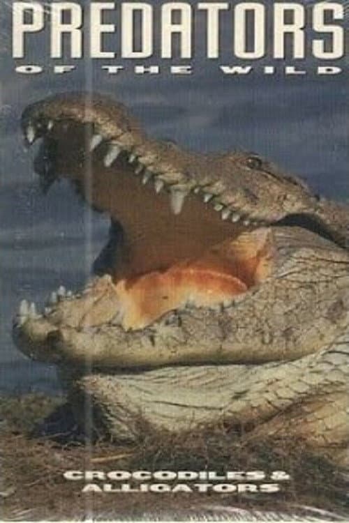 Predators of the Wild: Crocodiles and Alligators (1994) poster