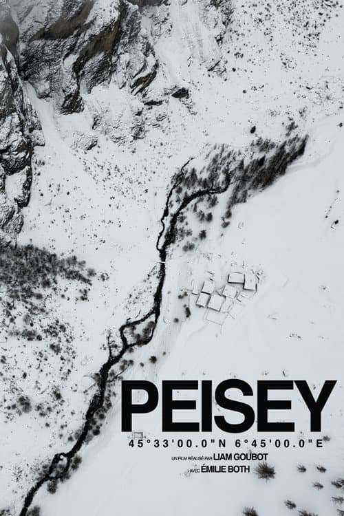 PEISEY (2024) poster