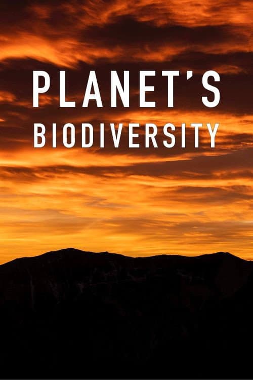 Planet's Biodiversity (2020) poster