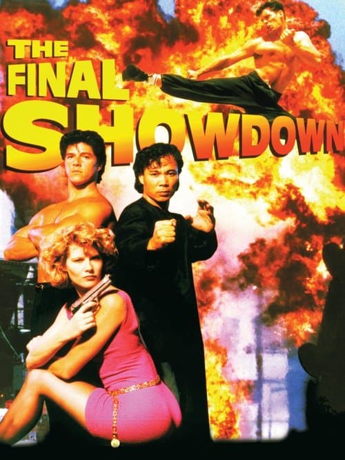 The Final Showdown (1993) poster
