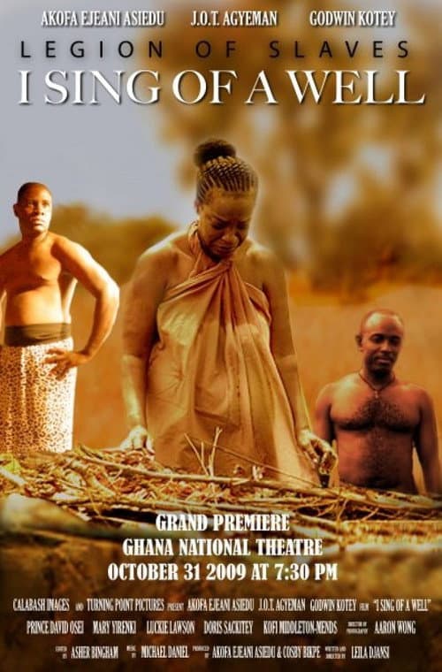 I Sing of a Well (2009) poster