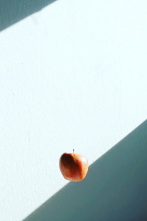 The Mouth is Still a Wild Door (2021) poster