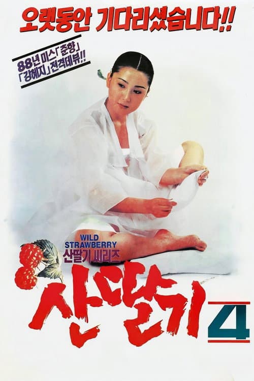 산딸기 4 (1991) poster