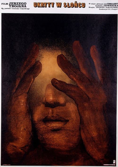 Ukryty w słońcu (1980) poster