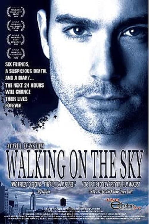 Walking on the Sky (2005) poster