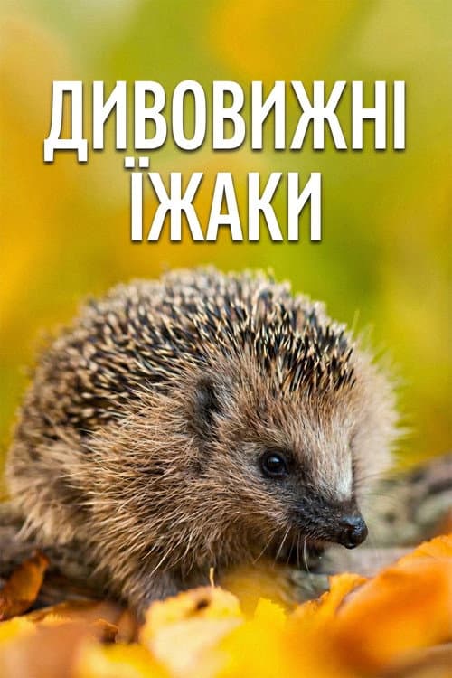 Year of the Hedgehog (2009) poster