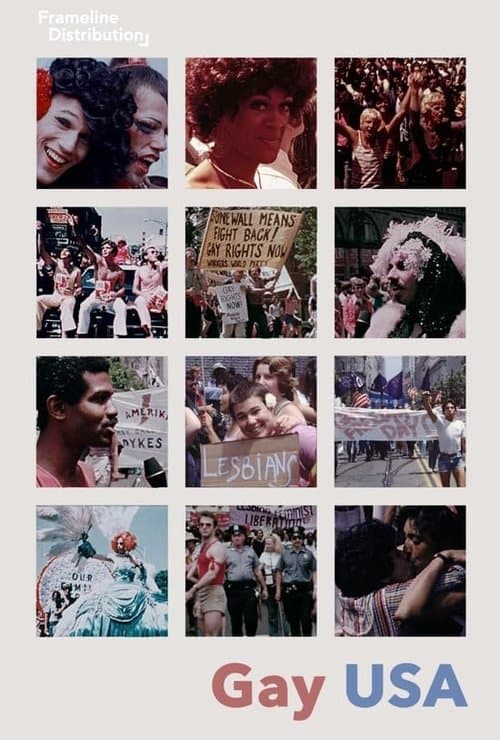 Gay USA (1977) poster