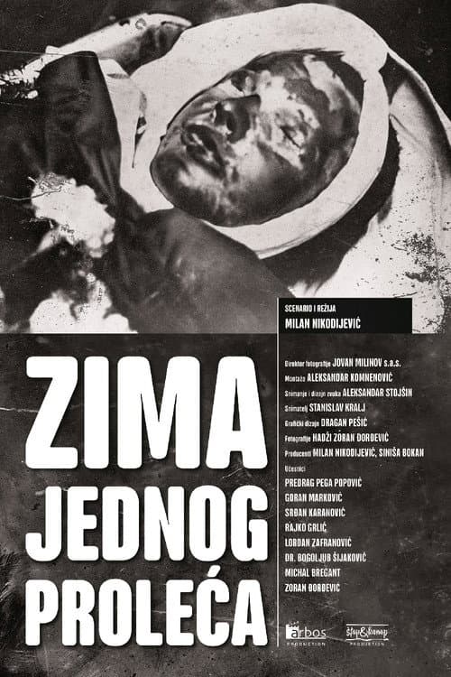 Zima jednog proleća (2022) poster