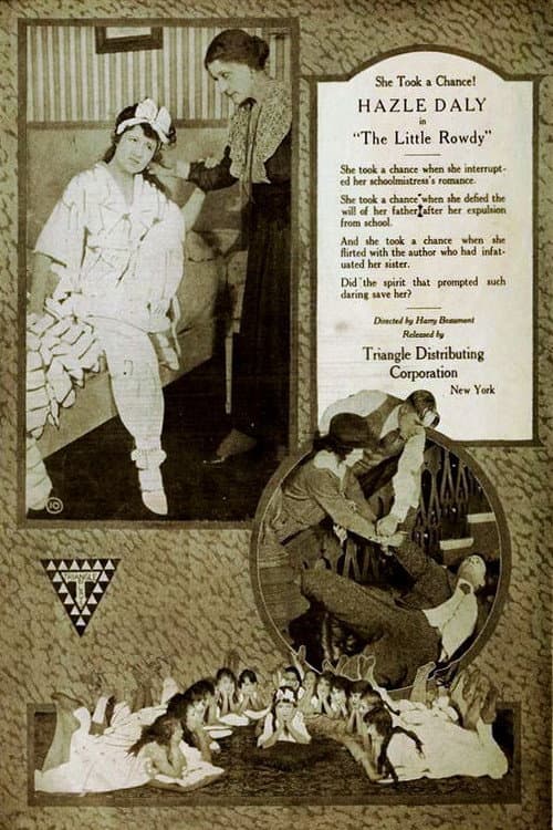 The Little Rowdy (1919) poster