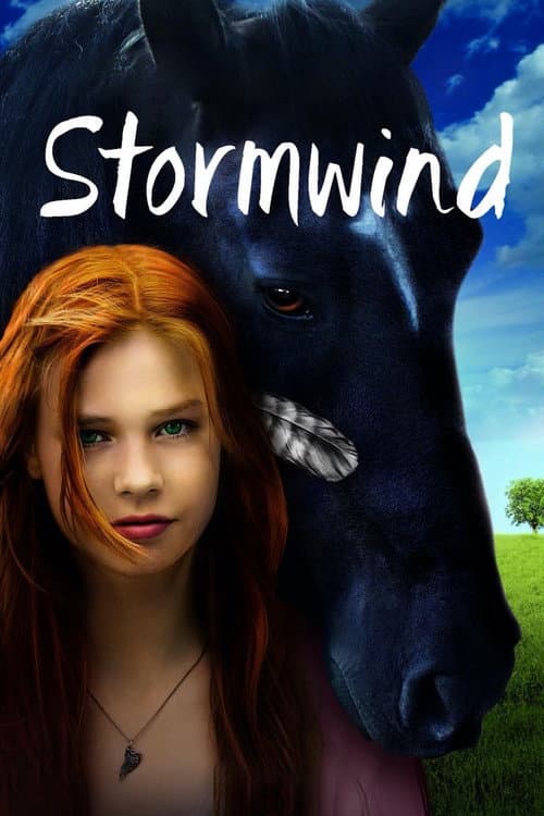 Stormwind (2013) poster