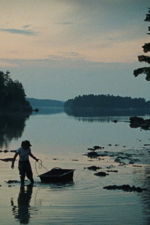 Double Tide (2009) poster