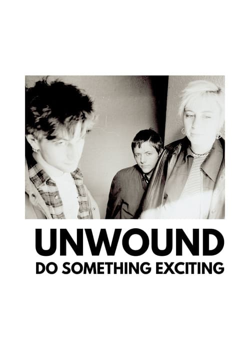 Unwound: Do Something Exciting (2016) poster