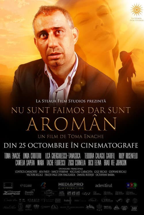 Nu sunt faimos, dar sunt aromân (2013) poster