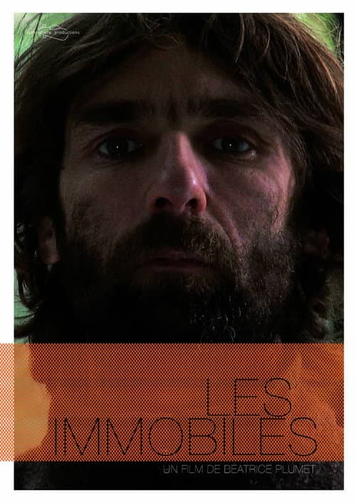 Les immobiles (2013) poster