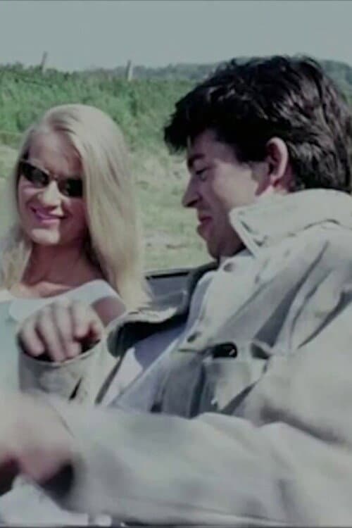 One Summer in Somerset (1968) poster