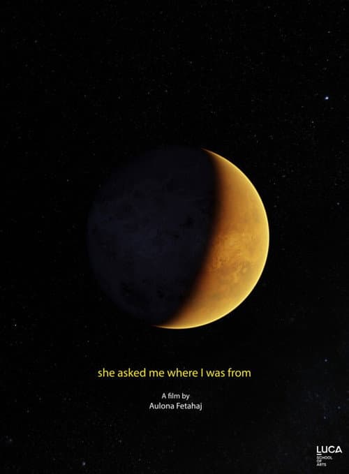 She Asked Me Where I Was From (2020) poster