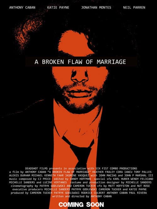 A Broken Flaw of Marriage (2025) poster