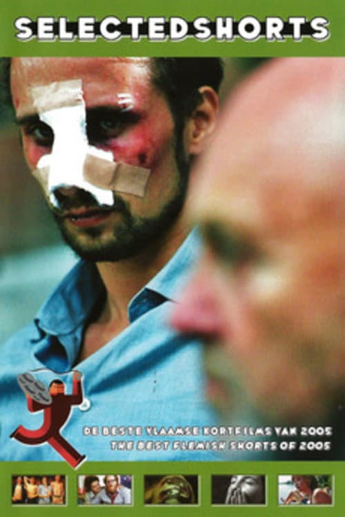 De laatste zomer (2005) poster