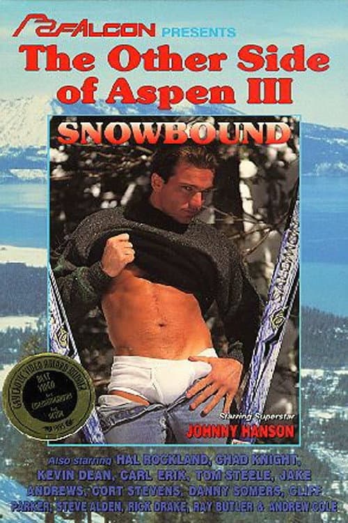 The Other Side of Aspen III: Snowbound (1995) poster