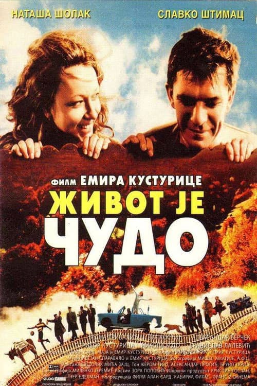 Life Is a Miracle (2004) poster