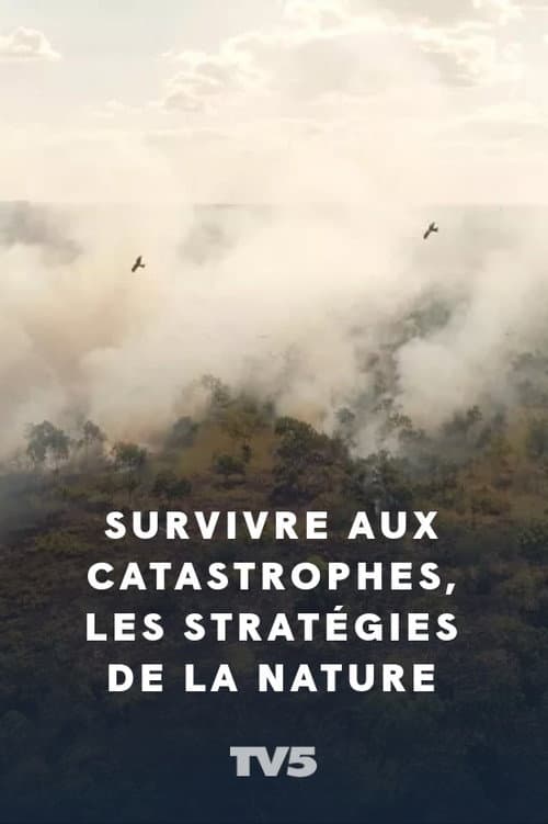 Survivre aux catastrophes, les stratégies de la nature (2020) poster