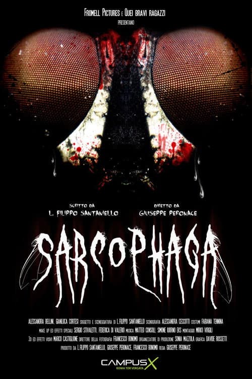 Sarcophaga (2013) poster