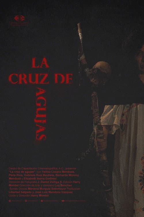 La cruz de agujas (2017) poster