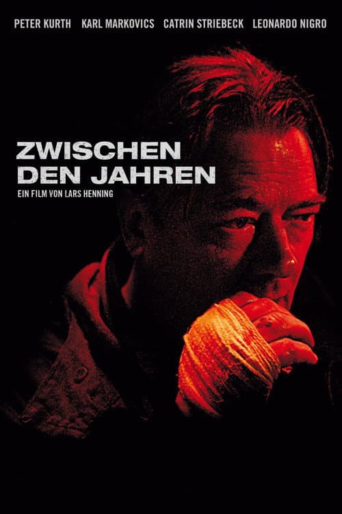 Zwischen den Jahren (2017) poster