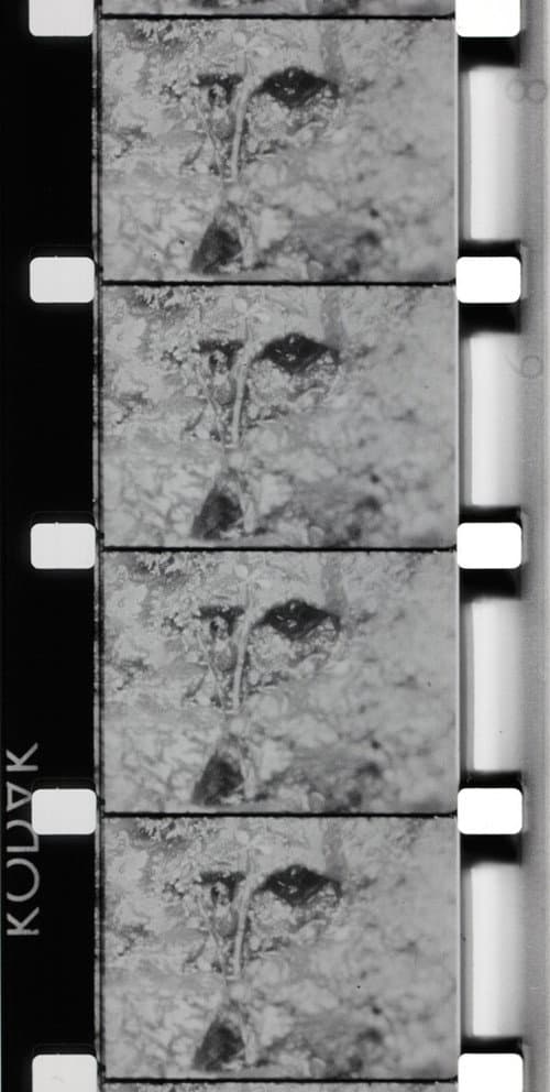 La Source de la Loire (1970) poster