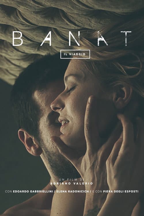 Banat (Il Viaggio) (2015) poster