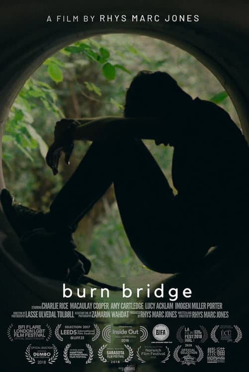 Burn Bridge (2017) poster