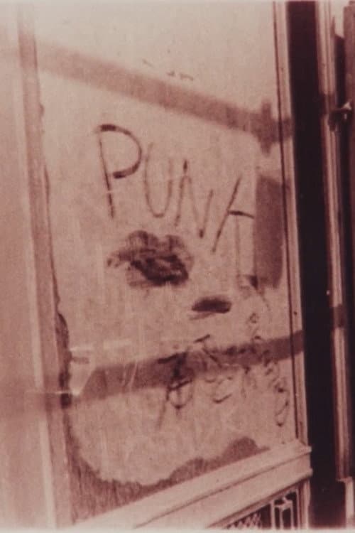 PUNK (1978) poster