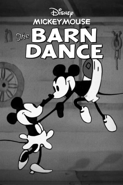 The Barn Dance (1929) poster