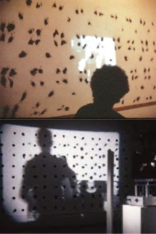 Finch Project (1969) poster