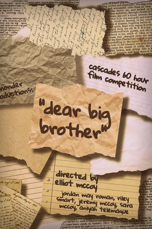 Dear Big Brother (2026) poster