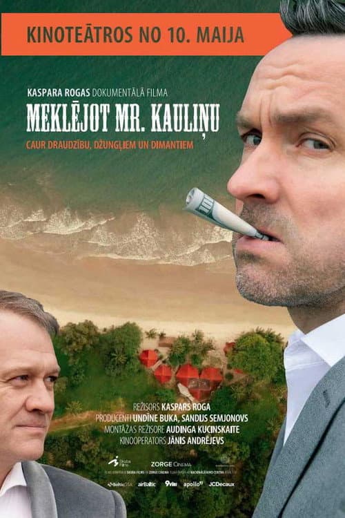 Meklējot Mr. Kauliņu (2019) poster