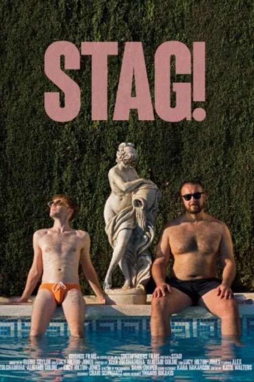 Stag! (2026) poster